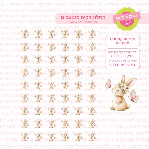 נשיקות קונספט ארנב 01- טרנספר