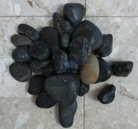חלוקי אוניקס שחור אבן סגולה לעיצוב האקווריום במשקל 1 ק"ג