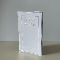 הגדה לפסח 16X11 סמ-דגם עיטורים-כסף