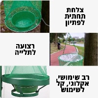 מלכות-זבובים-רב-שימושית-אקולוגית