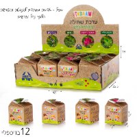 בום- ערכת שתילה צמחי תבלין\פרחי נוי