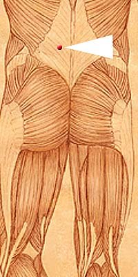 Bl22