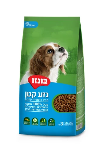 בונזו גזע קטן