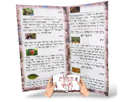 ברכון סדר ט"ו בשבט