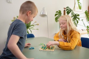 עצים בריבועים – משחק אסטרטגיה לכל המשפחה
