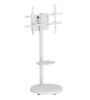 לבן - עגלה למסך "86-"37 לומי Lumi FS38-46TW