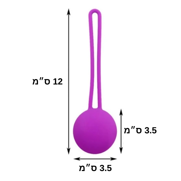 ביצים-סיניות-חיזוק