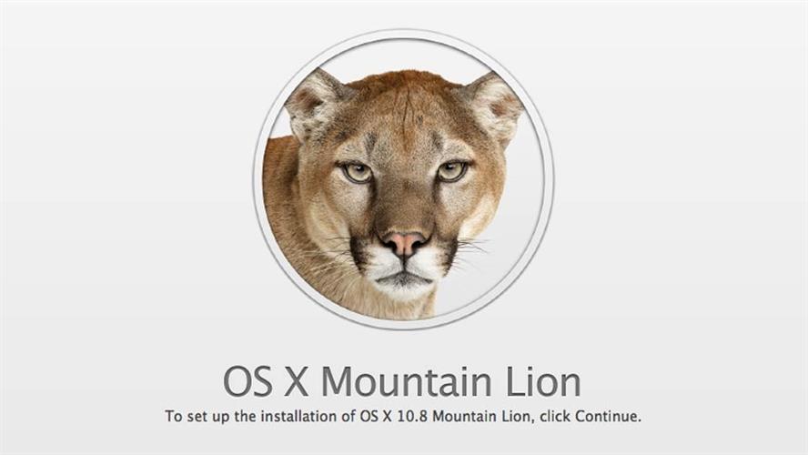 התקנת מערכת הפעלה חדשה למחשב אפל Mac OS X Mountain Lion / Snow Leopard / OS X Mavericks