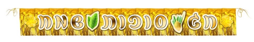 קישוט לתלייה סוכת שמח