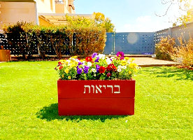 אדנית בריאות