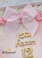 פפיון ורוד גדול רוחב 14 ס''מ עם סוגר - 6 יחידות