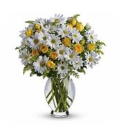 Get Well Arrangements 