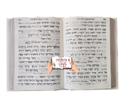 סט מחזורים הרב יורם מיכאל אברג'ל