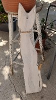 נוכחות מלאת חן ואופי: חתול עץ אינדונזי ענק לעיצוב הבית
