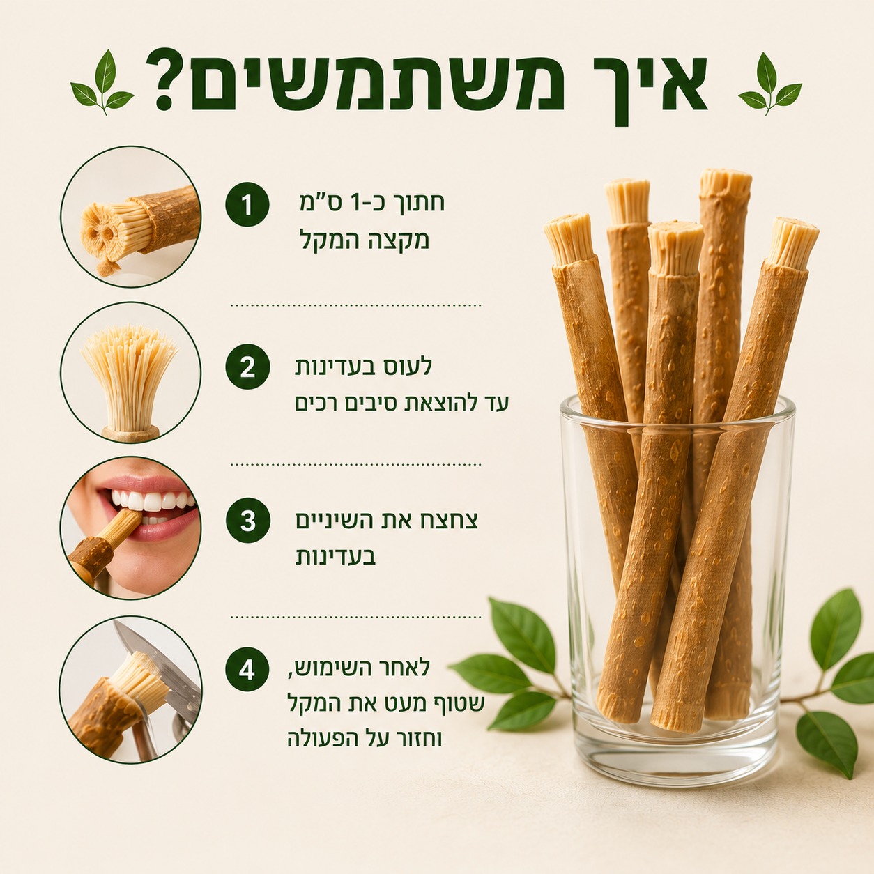 מקל מיסוואק - תמונה 3