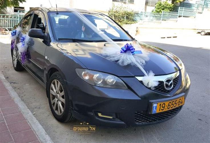 קישוט רכב 6 פונפון