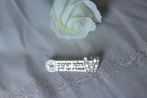סיכת דש מנהלת מחלקה