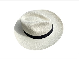 Panama hat for men 