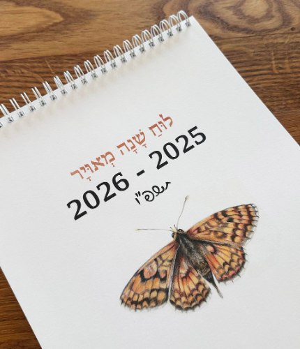 לוח שנה מאוייר 25-26