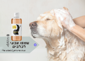 DOLITAI|שמפו טבעי לכלבים 300ML
