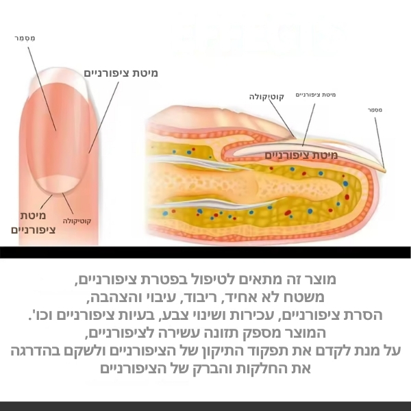 מדבקות-טיפוח-לציפורני-רגליים-8