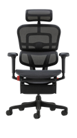 כיסא גיימינג אורגונומי Comfort Ergohuman Ultra Gaming