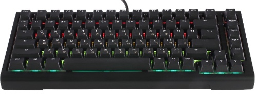 Ducky ProjectD Tinker 75 – מקלדת גיימינג עם גוף אלומיניום