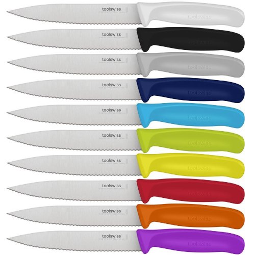 סכין שולחן שפיץ משונן 10 ס"מ TOOLSWISS מגיע במגוון צבעים