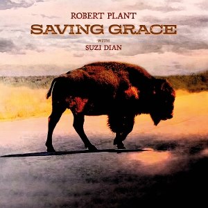 ROBERT PLANT/SAVING GRACE