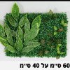 פאנל צמחים דוגמא-21 - קיר צמחיה מלאכותית במבחר סגנונות