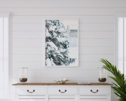 תמונת קנבס הדפס של עץ מכוסה שלג "A Snowy Tree" |בודדת או לשילוב בקיר גלריה | תמונות לבית ולמשרד