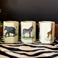 כוס עטים ספארי  Vintage Safari– מיקס דוגמאות