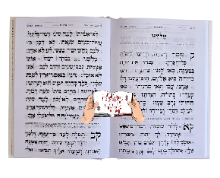 תהילים מהודר בינת הלב