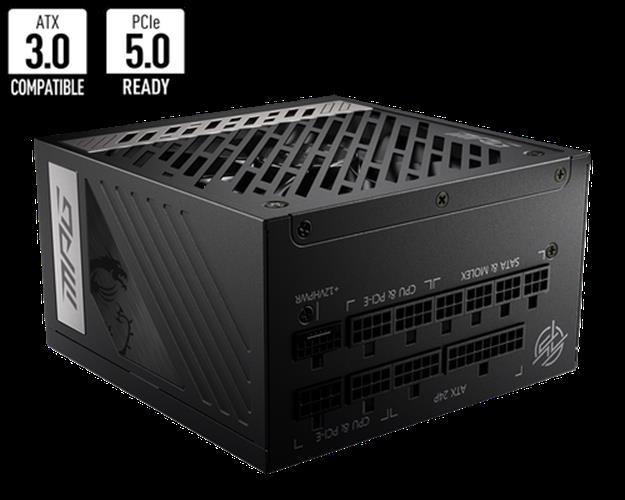 MSI MPG A1000G PCIE5 80+ GOLD