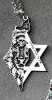 אריה אין לי ארץ אחרת מגן דוד - שרשראות גור אריה יהודה