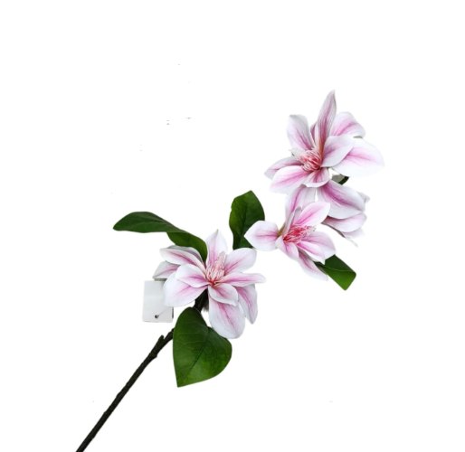 ענף פרחים מנגוליה ורוד לבן W-2