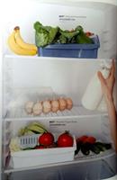 ארגונית למקרר | קופסאות אחסון עשויות פלסטיק קשיח | לסדר וארגון המקרר המזווה או ארונות המטבח Paragon