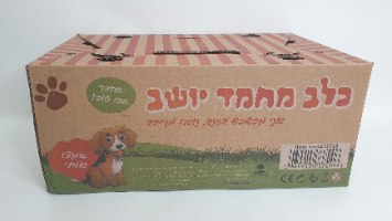 כלב מחמד יושב