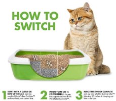 מצע אורגני מתגבש בסיסי (ירוק) לחתולים 3.18 ק"ג "וורלדס בסט"