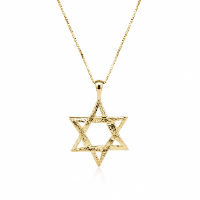 שרשרת זהב לגבר עם תליון מגן דוד 14 קראט