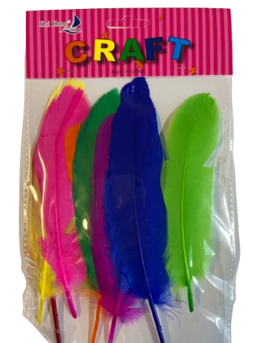 ארט נוצות צבעוני