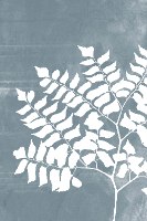 "Fern" סט 3 תמונות לסלון כפרי - שלוש תמונות הדפס קנבס ממוסגר צללית שרך יער בצבע בז' אפור וכחול