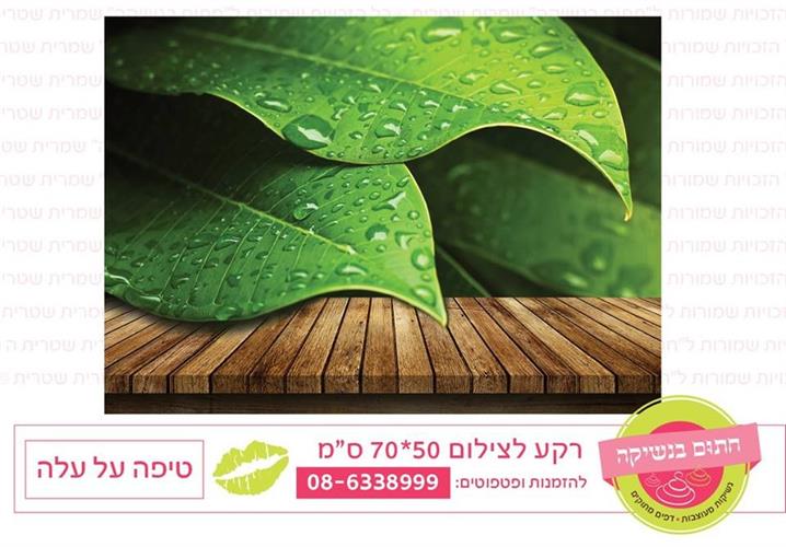 רקע צילום טיפה על עלה