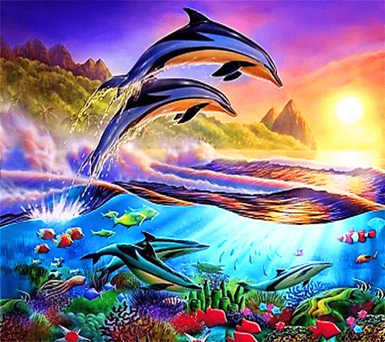 דולפינים הוואים