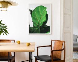 תמונת קנבס צילום עלה טרופי  "Plants Soul" |בודדת או לשילוב בקיר גלריה | תמונות לבית ולמשרד