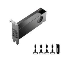 כרטיס מסך Pny Nvidia RTX PRO 2000 Blackwell 16GB GDDR7 Bulk