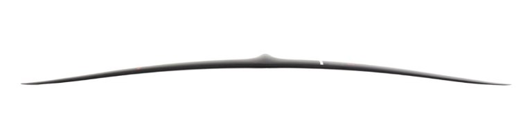 Blackbird Balz PRO 965 - 1210cm² / AR 8.3