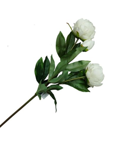 ענף 3 פרחים - שושנים צבע לבן