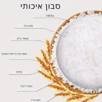 שמפו-סוליד-בר-ללא-פלסטיק-שמן-אורז-וחלבון-לשיקום-שיער-יבש-ושביר-טבעוני-7