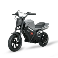 אופנוע ממונע 24V שטח - Rider ADV250 SILVER GRAY